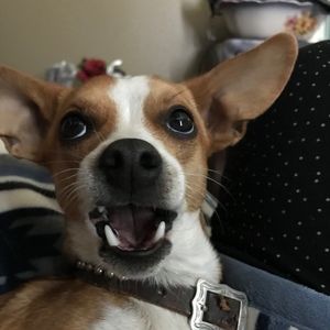 Meet your Posher, Tina